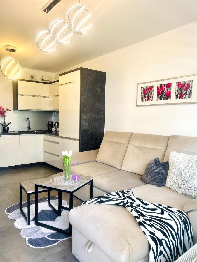 Downtownapartments Andy Air-Conditioned, Underground Parking Available Rzeszow Luaran gambar
